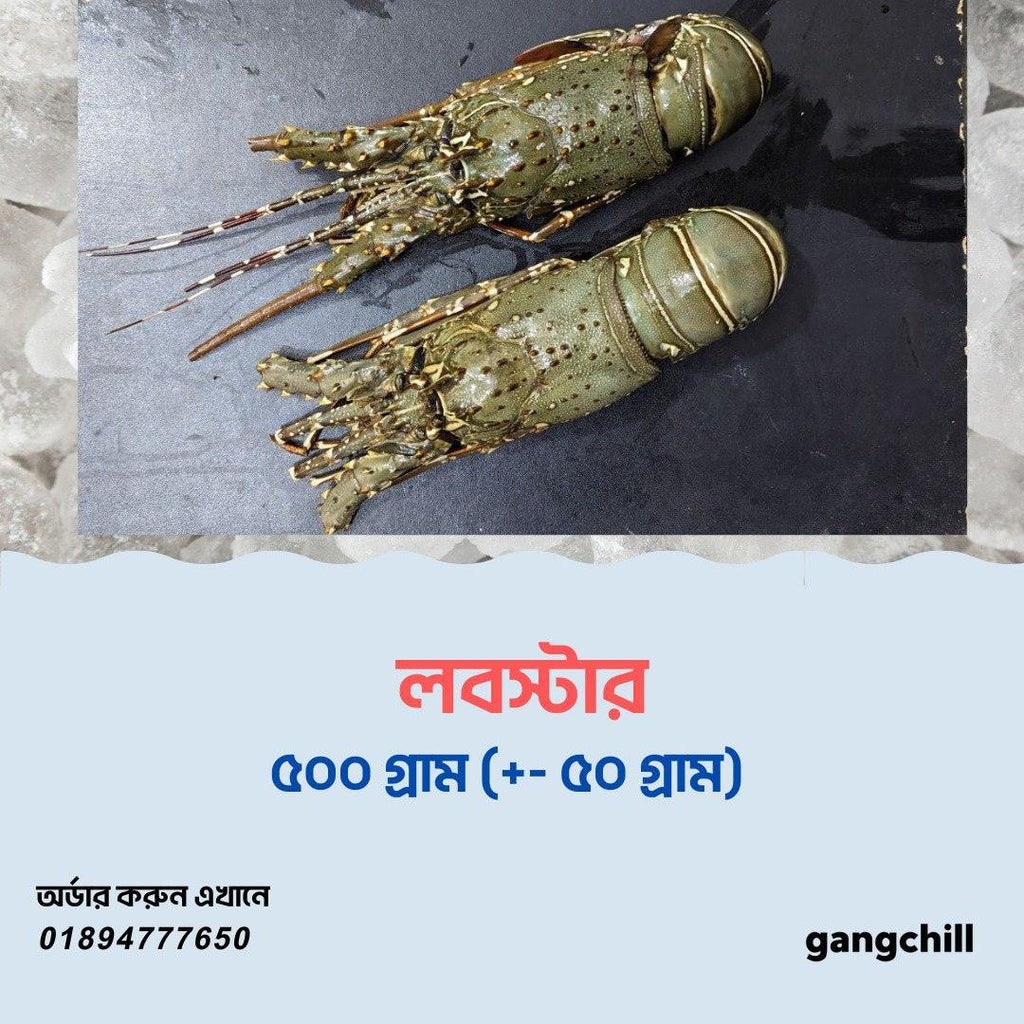 Lobster (whole)- - Gangchill.com