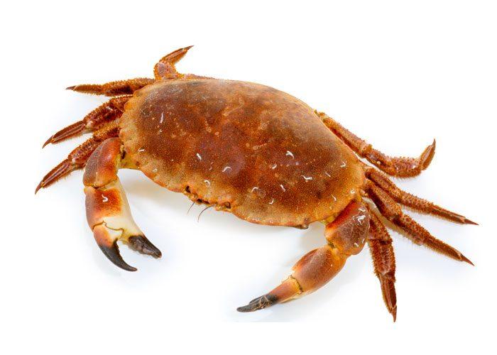 Crab (3 spot) Whole - Gangchill.com