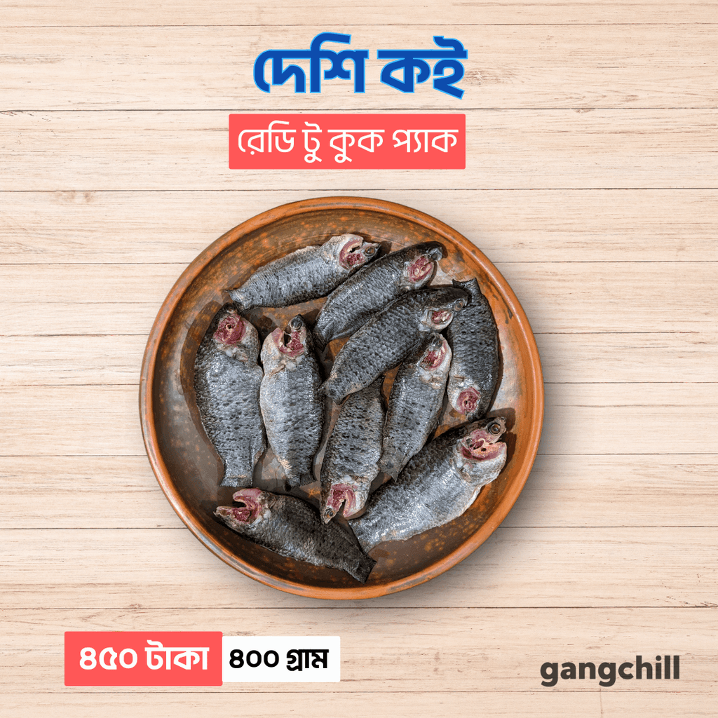 Deshi Koi Fish - (কই মাছ) - ৪০০ গ্রাম - Gangchill.com
