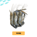 Deshi Golda Prawn/দেশি গলদা চিংড়ি -১কেজি - Gangchill.com