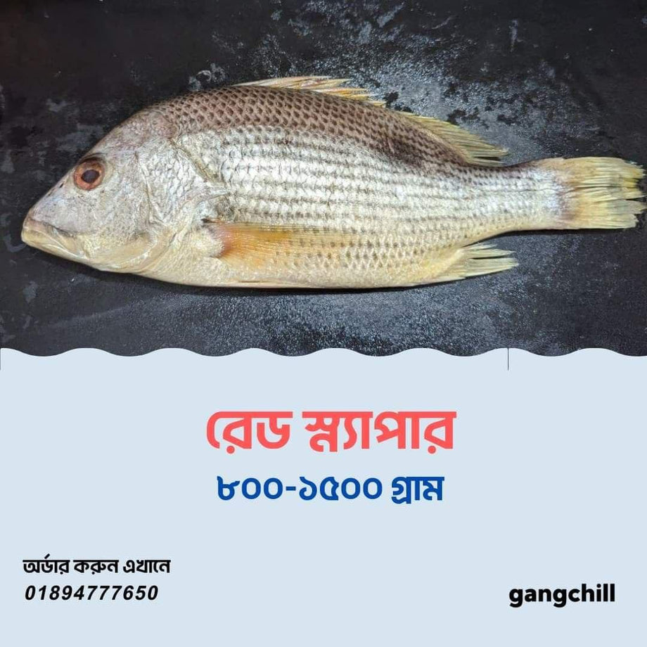Freshwater Fresh Red Snapper / Kemberi Fish, 1 Kg –