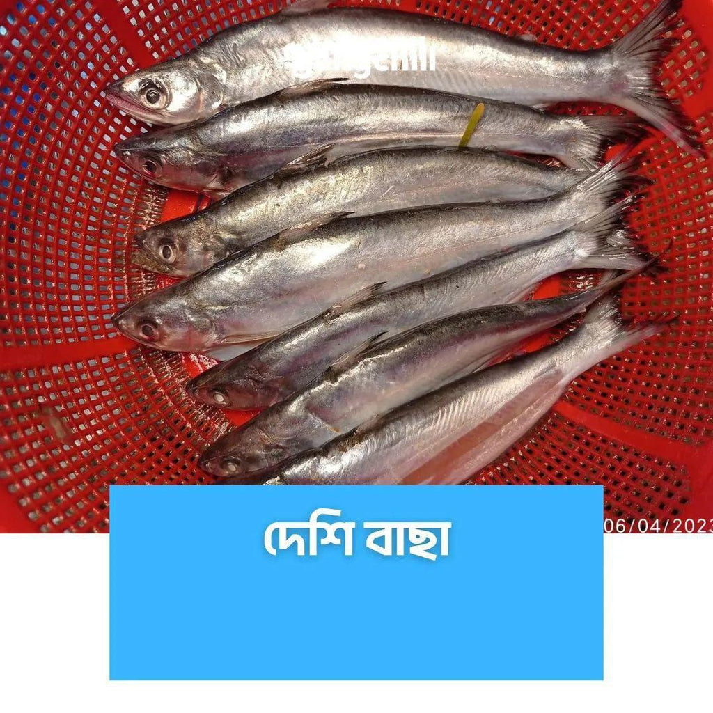 Deshi Bacha/দেশি বাছা মাছ -1kg - Gangchill.com