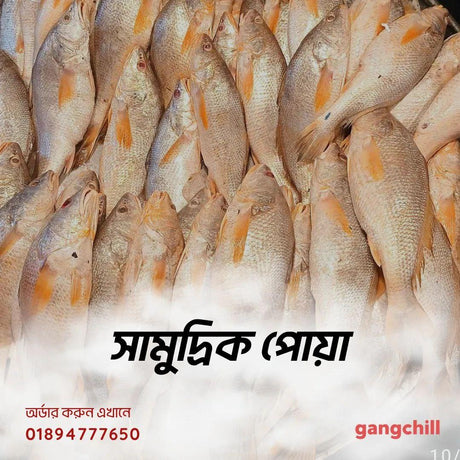 Sea Poya-1kg - Gangchill.com