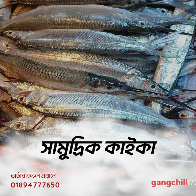 Sea Kaikka-1kg - Gangchill.com