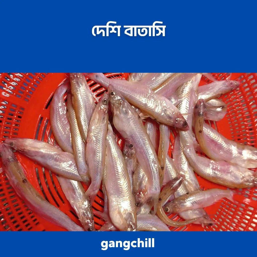 Deshi Batashi - দেশি বাতাসি মাছ- প্রতি কেজি - Gangchill.com