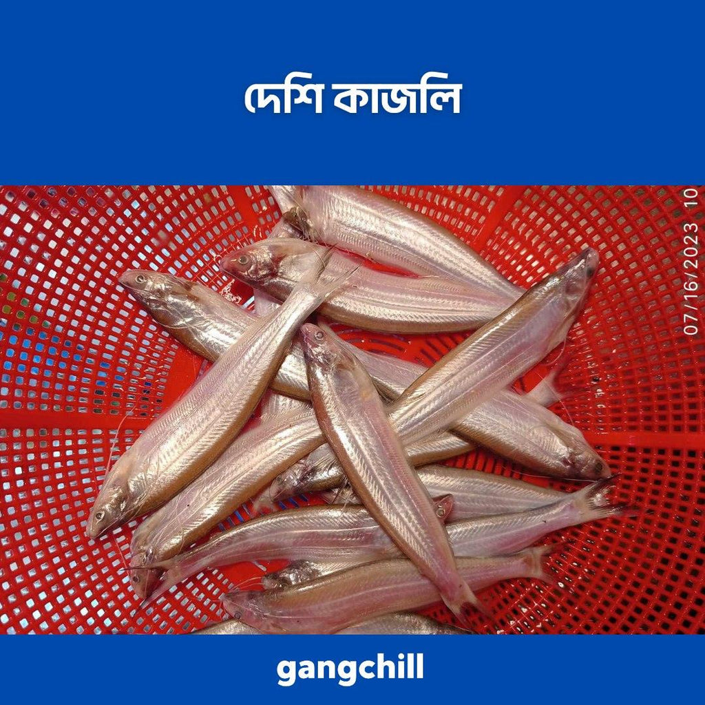 Deshi Kajoli - দেশি কাজলি মাছ- প্রতি কেজি - Gangchill.com