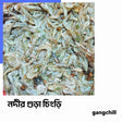 River Prawn / নদীর চিংড়ি - Per Kg - Gangchill.com