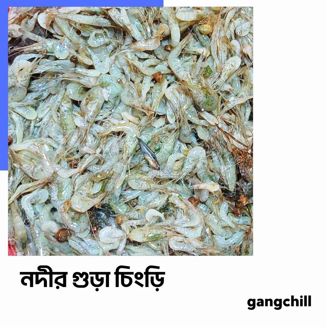 River Prawn / নদীর চিংড়ি - Per Kg - Gangchill.com