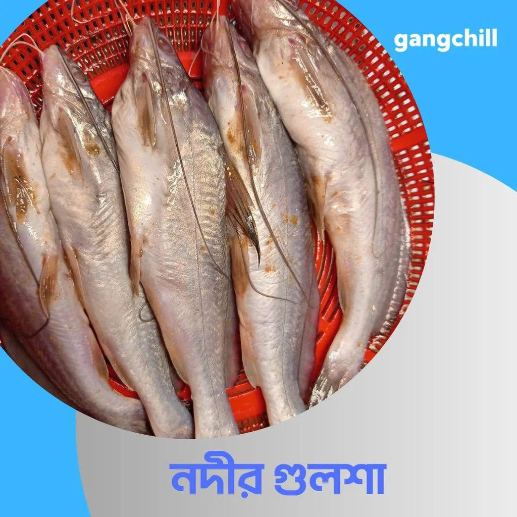 Deshi Gulsha Fish Medium/ দেশি গুলসা মাছ (River/Haor) - - Gangchill.com