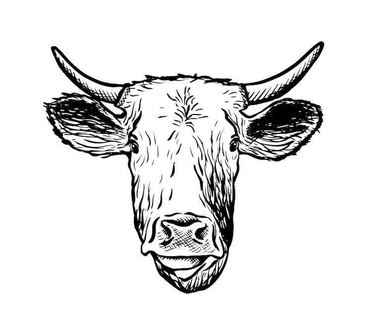Cow Head Beef - গরুর মাথার মাংস - Gangchill.com