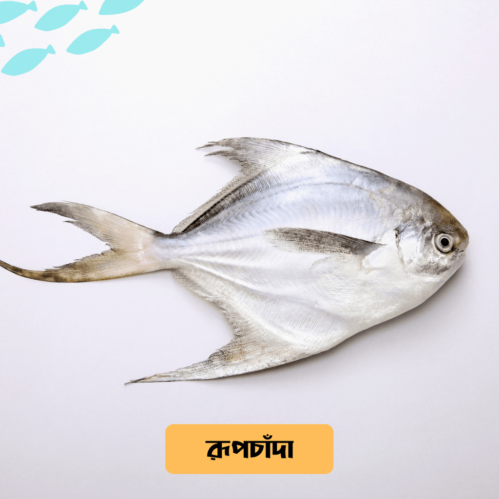 Rupchanda Fish/রূপচাঁদা মাছ (Sea Pomfret)- Per Kg** - Gangchill.com