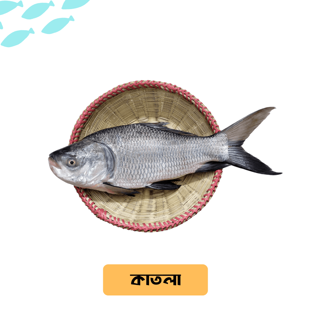 Katla Fish/কাতলা মাছ (River/Haor) - Per Kg - Gangchill.com