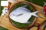 Rupchanda Fish/রূপচাঁদা মাছ (Sea Pomfret)- Per Kg** - Gangchill.com