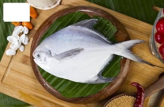 Rupchanda Fish (Sea Pomfret)- 1kg (4-6 pcs ± 50gm) - Gangchill.com