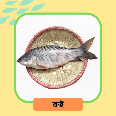 Rui Fish/রুই মাছ (River/Haor)- Premium Size - Gangchill.com