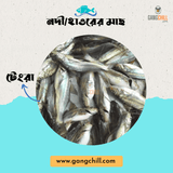 Deshi Tengra FIsh (ট্যাংরা মাছ) -Per Kg - Gangchill.com